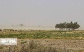 باد و گرد و خاک تا فردا در استان ادامه دارد